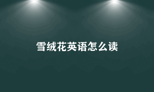 雪绒花英语怎么读