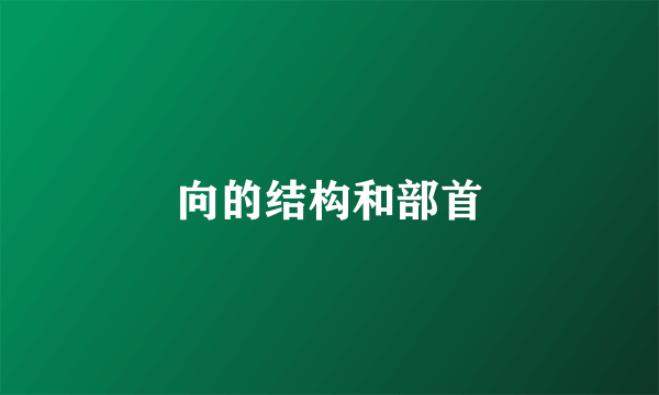 向的结构和部首