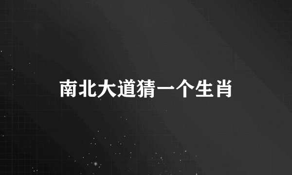南北大道猜一个生肖