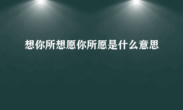 想你所想愿你所愿是什么意思
