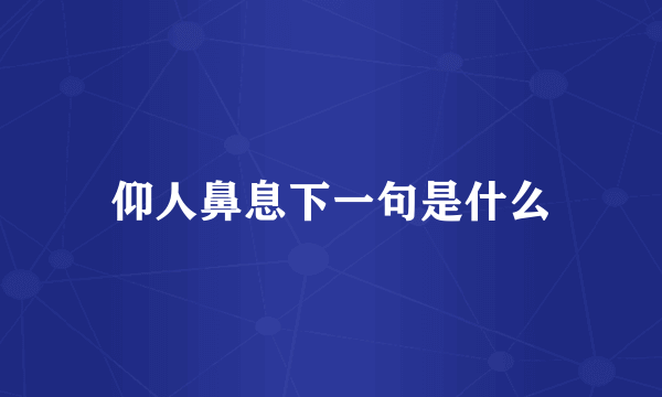 仰人鼻息下一句是什么
