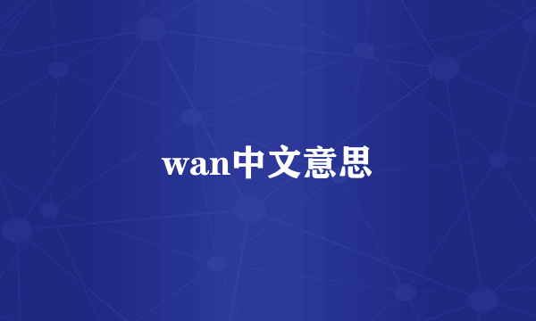 wan中文意思