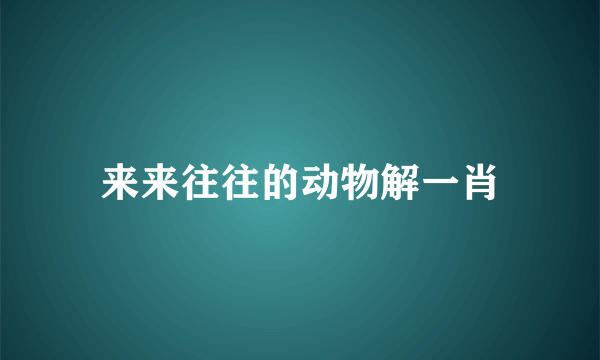 来来往往的动物解一肖