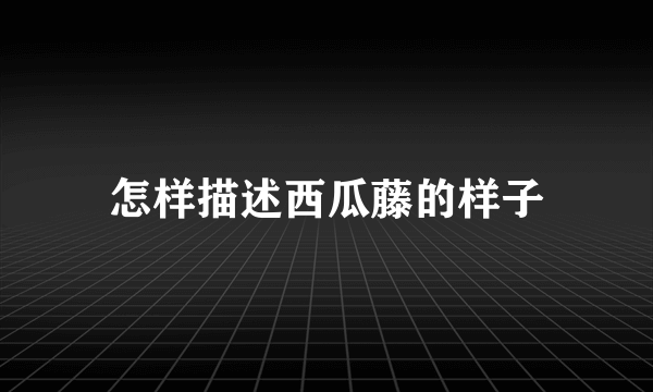 怎样描述西瓜藤的样子