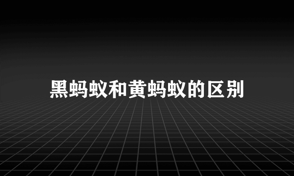 黑蚂蚁和黄蚂蚁的区别