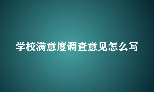 学校满意度调查意见怎么写