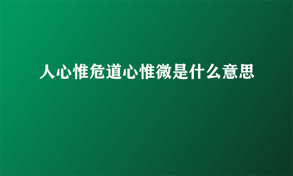 人心惟危道心惟微是什么意思