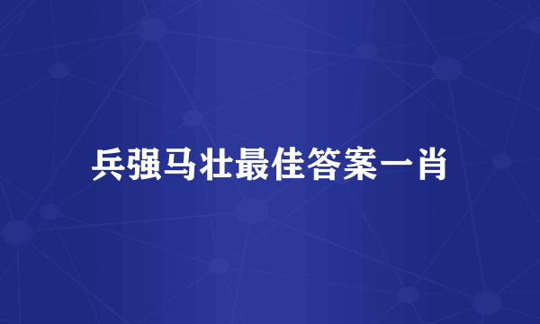 兵强马壮最佳答案一肖