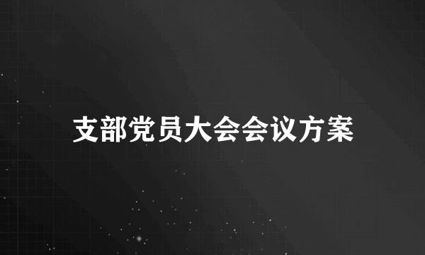支部党员大会会议方案