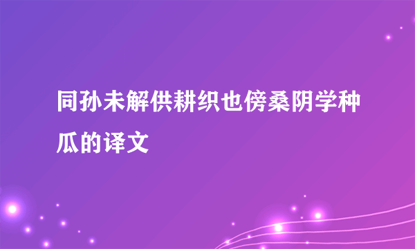 同孙未解供耕织也傍桑阴学种瓜的译文