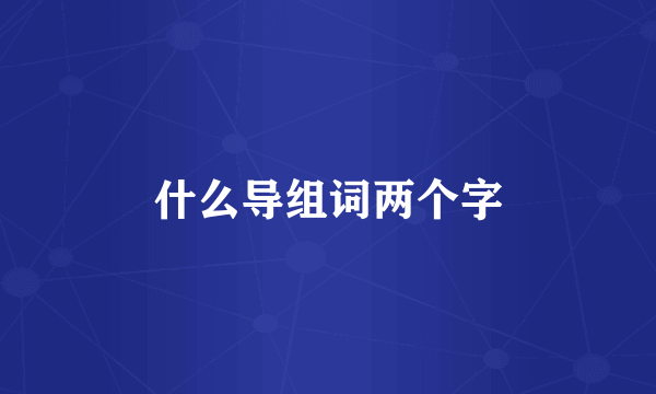 什么导组词两个字