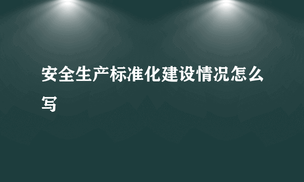 安全生产标准化建设情况怎么写