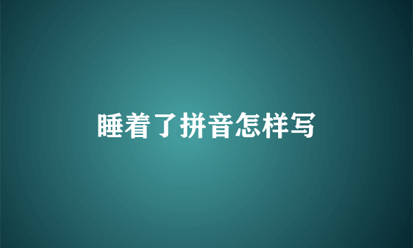 睡着了拼音怎样写