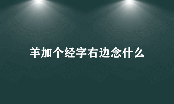 羊加个经字右边念什么