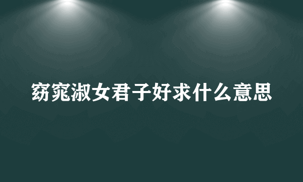 窈窕淑女君子好求什么意思