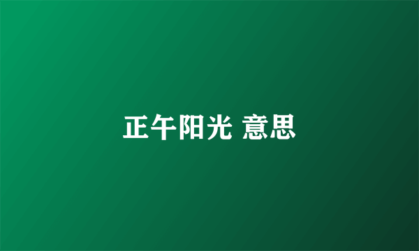 正午阳光 意思