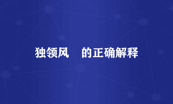 独领风釆的正确解释