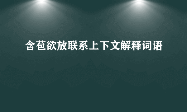 含苞欲放联系上下文解释词语
