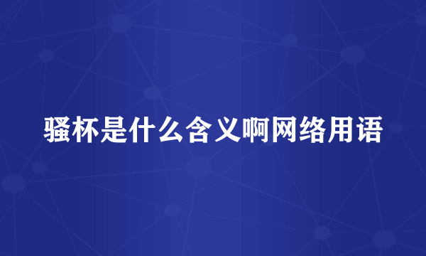 骚杯是什么含义啊网络用语