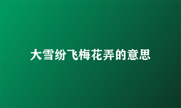 大雪纷飞梅花弄的意思