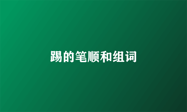 踢的笔顺和组词
