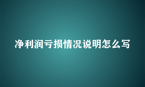 净利润亏损情况说明怎么写