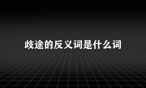 歧途的反义词是什么词