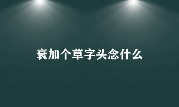 衰加个草字头念什么