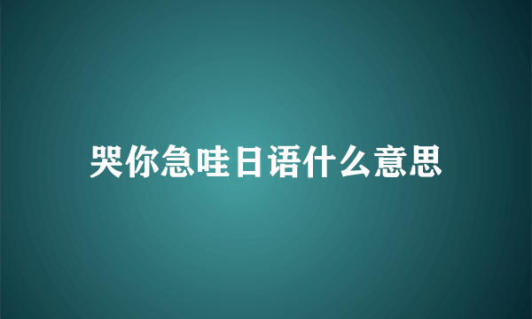 哭你急哇日语什么意思