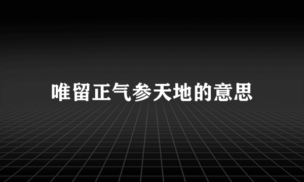 唯留正气参天地的意思