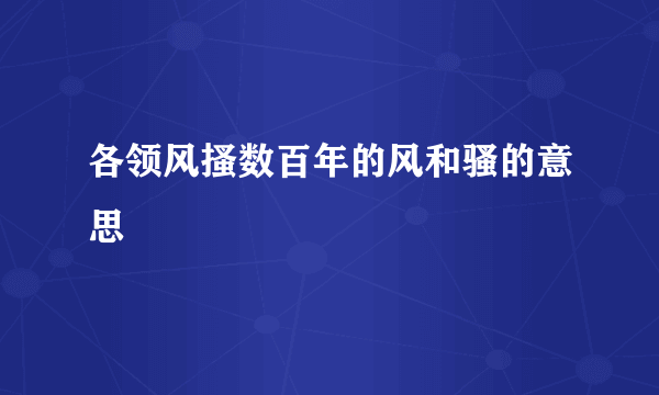各领风搔数百年的风和骚的意思