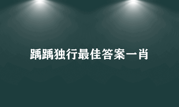 踽踽独行最佳答案一肖