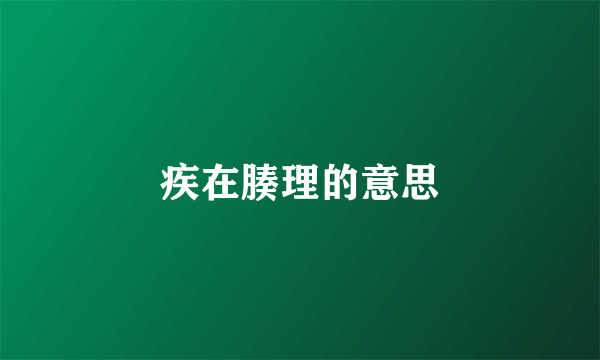 疾在腠理的意思