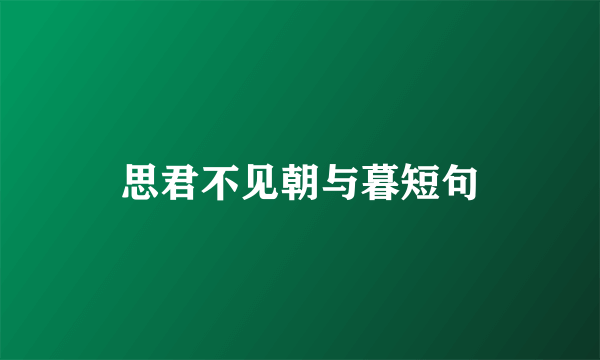 思君不见朝与暮短句