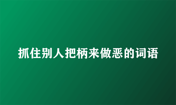 抓住别人把柄来做恶的词语