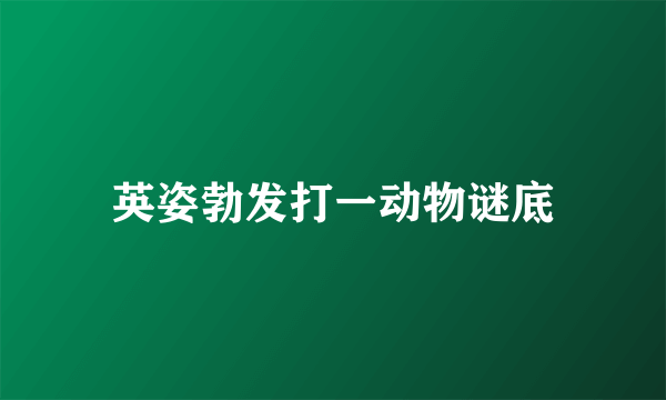 英姿勃发打一动物谜底