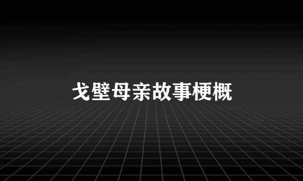 戈壁母亲故事梗概