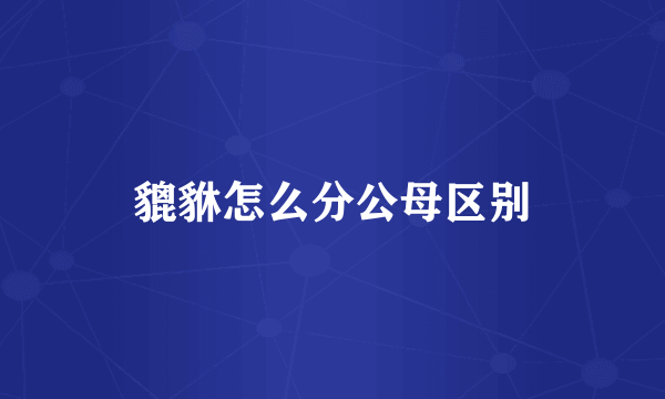 貔貅怎么分公母区别