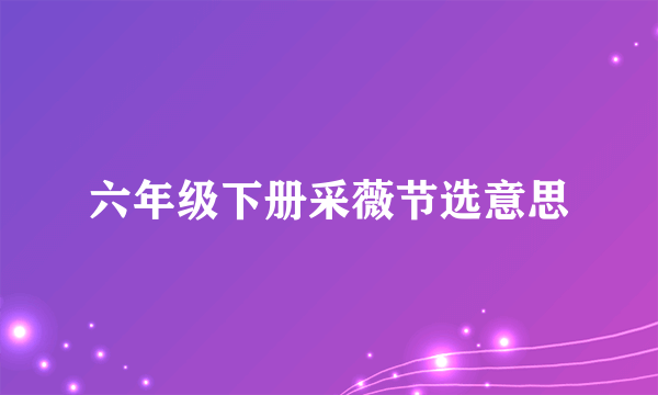 六年级下册采薇节选意思