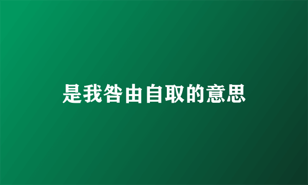是我咎由自取的意思