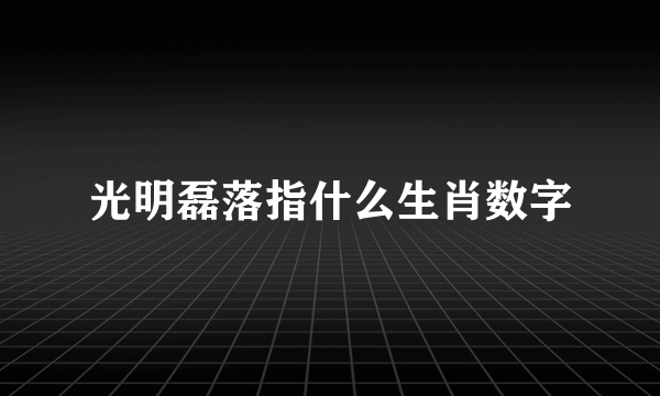 光明磊落指什么生肖数字