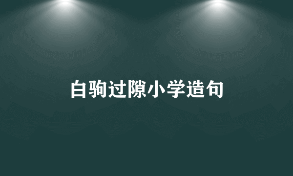 白驹过隙小学造句