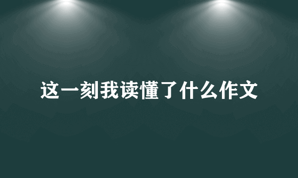 这一刻我读懂了什么作文