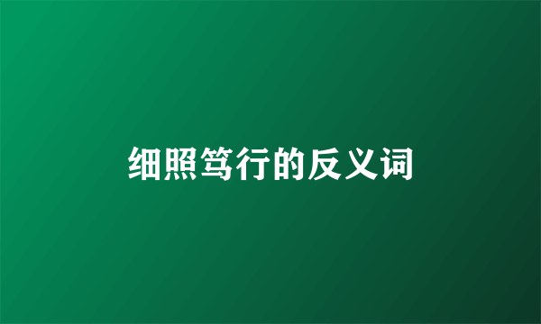 细照笃行的反义词