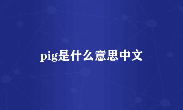 pig是什么意思中文