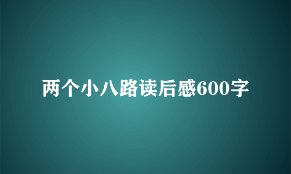 两个小八路读后感600字