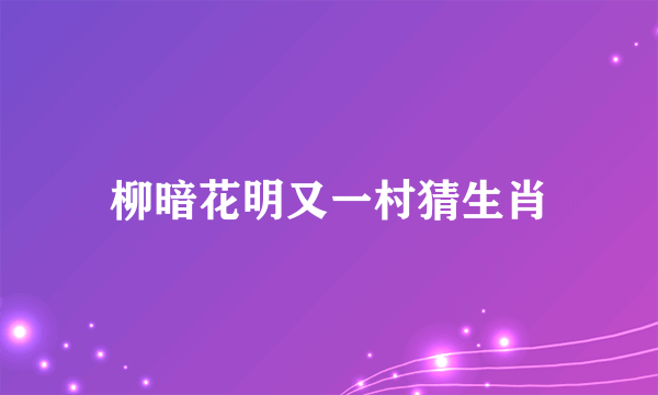 柳暗花明又一村猜生肖