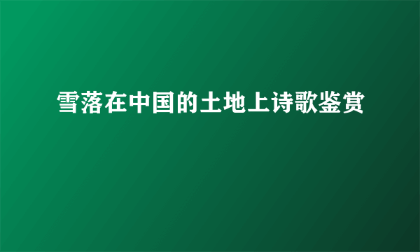雪落在中国的土地上诗歌鉴赏