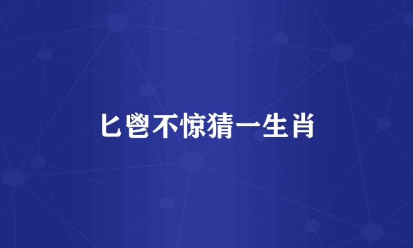 匕鬯不惊猜一生肖