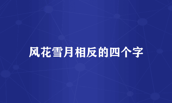 风花雪月相反的四个字